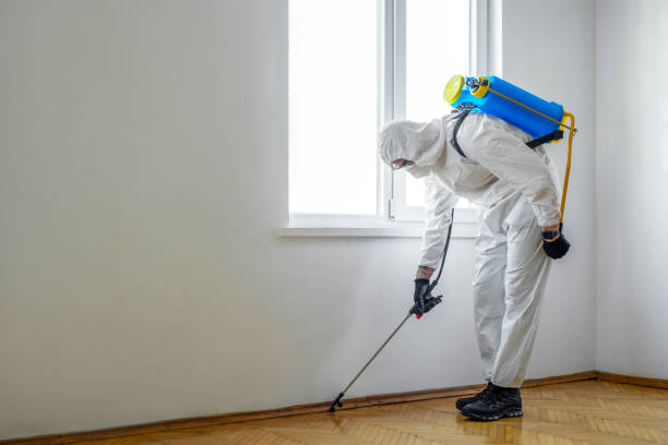 Best Fumigation Services  in Riverside, NY